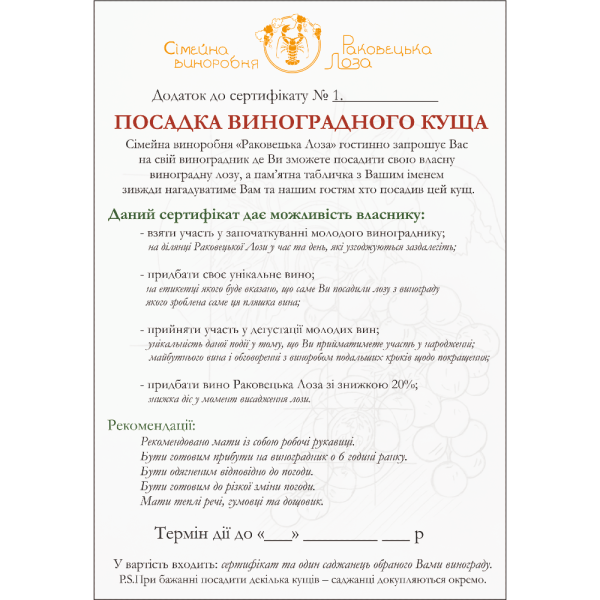 ПОСАДКА ВИНОГРАДНОГО КУЩА - Зображення 2